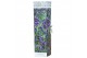 Buddleja davidii nanho blue blauw 