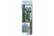 Buddleja davidii nanho blue blauw 