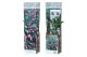Buddleja davidii pink delight roze 