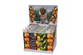 Citrus fruit mix 5 mix