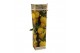 Citrus fruit mix 5 mix 