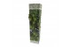 Citrus fruit mix 5 mix 
