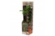 Citrus fruit mix 5 mix 