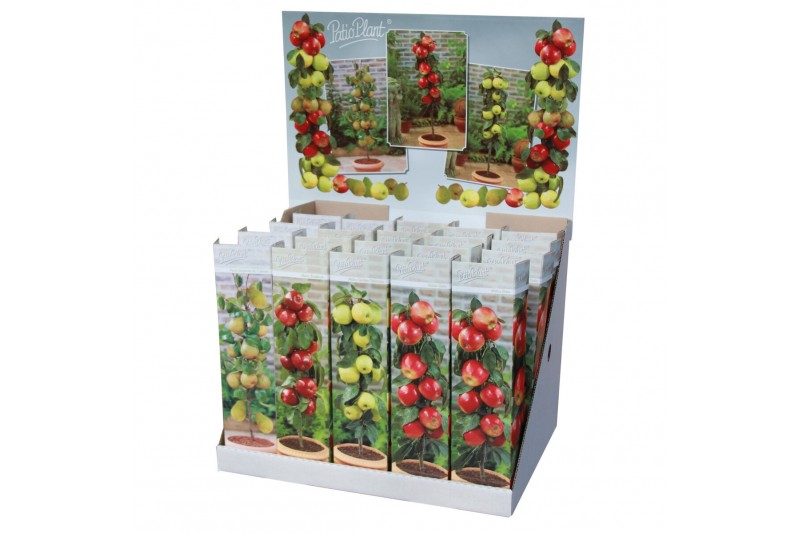 Malus domestica mini fruit mix 4 mix 