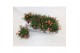 Delosperma cooperi lido orange with eye 