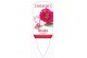 Fragaria Red Summer Breeze 