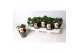 Fragaria Red Summer Breeze 