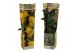 Citrus sinensis limon citroen 
