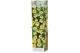Thunbergia alata lemon star geel 