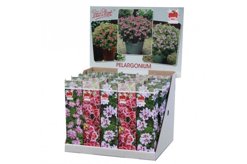 Pelargonium graveolens mix Anti-Mosquito 