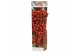 Fruitbomen Klein Fruit mix 