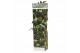 Fruitbomen Klein Fruit mix 