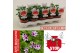 Pelargonium graveolens orange fizz Anti-Mosquito 