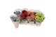 Hydrangea macr. mix Mix 2-3 Bloem 
