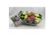 Hydrangea macr. mix Mix 2-3 Bloem 