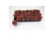 Hypoestes rood 