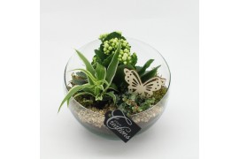 Arrangementen kamerplanten ESCR-2501W Essentials 3 pp