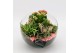 Arrangementen kamerplanten ESCR-2501RZ Essentials 3 pp 