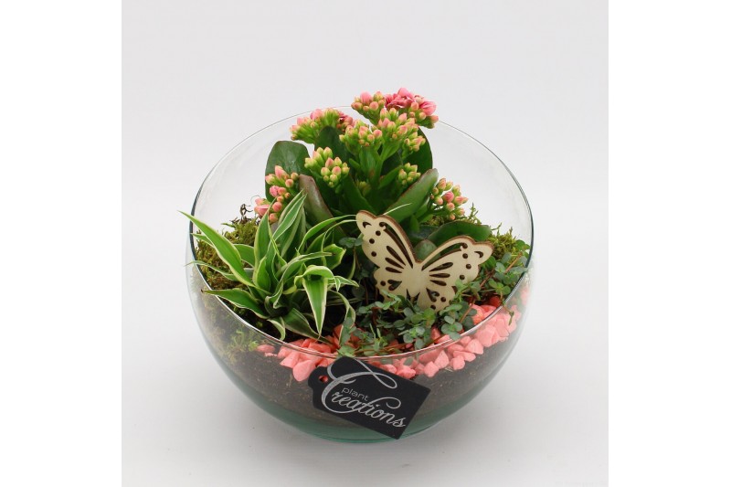 Arrangementen kamerplanten ESCR-2501RZ Essentials 3 pp Arrangementen kamerplanten ESCR-2501RZ Essentials 3 pp