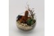 Arrangementen cactus CTCR-2530 Cactus Essentials 2 pp 