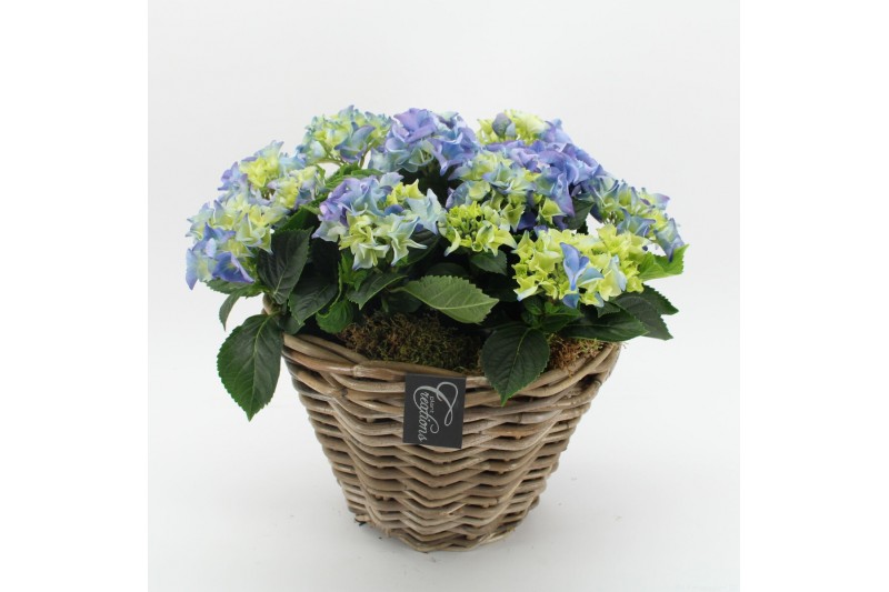Arrangementen hydrangea KHCR-2504B Hydrangea creatie 3 pp Arrangementen hydrangea KHCR-2504B Hydrangea creatie 3 pp
