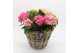 Arrangementen hydrangea KHCR-2504RZ Hydrangea creatie 3 pp 