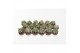 Astrophytum ornatum 