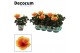 Hibiscus rosa-sinensis salsa Decorum bicolor oranje/rood 