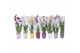 Orchidee mix 1 tak morellips  in gekleurd keramiek met ML hoes 