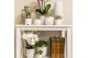 Phalaenopsis multiflora 3 tak in glazed pot white kolibri orchids 