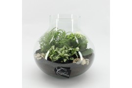 Arrangementen kamerplanten ESCR-2508W Essentials terrarium 4 pp