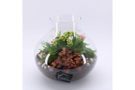 Arrangementen kamerplanten ESCR-2508RZ Essentials terrarium 4 pp
