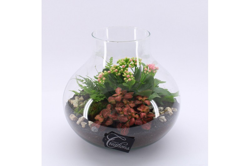Arrangementen kamerplanten ESCR-2508RZ Essentials terrarium 4 pp Arrangementen kamerplanten ESCR-2508RZ Essentials terrarium 4 pp