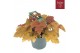 Heuchera indian summer orange 