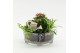 Arrangementen kamerplanten ESCR-2531RZ Essentials 3 pp 