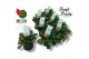 Pelargonium welrieke mix Fresh&Fruity® Melon Fresh 