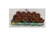 Sempervivum sempervivum "Riga"  kleur  paars 