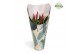 Vriesea multiflower astrid Jungle krafthoes 