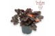 Heuchera indian summer silver 