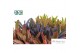 Kalanchoe tomentosa Make Upz Mix 