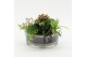 Arrangementen kamerplanten MDCR-2530RZ Moederdag creatie 3 pp 