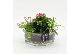 Arrangementen kamerplanten MDCR-2530RZ Moederdag creatie 3 pp