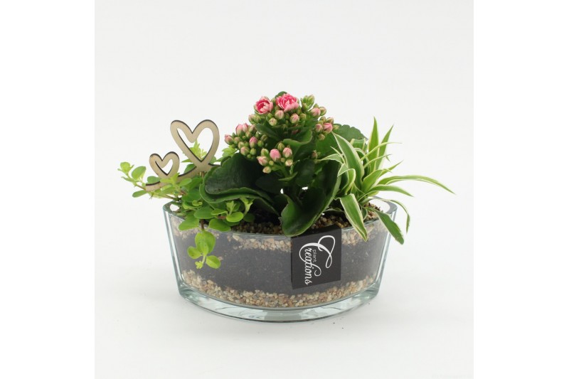 Arrangementen kamerplanten MDCR-2530RZ Moederdag creatie 3 pp Arrangementen kamerplanten MDCR-2530RZ Moederdag creatie 3 pp