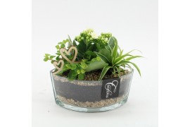 Arrangementen kamerplanten MDCR-2530W Moederdag creatie 3 pp