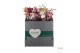 Phalaenopsis mix 2 tak - 75/80cm 