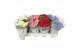 Hydrangea macr. mix Mix 3-5 Bloem 