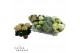 Hydrangea macr. mix Mix 3-5 Bloem 