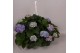 Hydrangea macr. hi river Hydrangea macr. 27cm Blauw Hangplant 20+ Bloe 