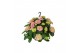 Hydrangea macr. hi river Hydrangea macr. 27cm Roze hangplant 20+ Bloem 