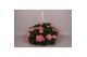 Hydrangea macr. hi river Hydrangea macr. 27cm Roze hangplant 20+ Bloem 